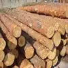 /product-detail/red-pine-logs-30-60cm-6-meter-length-wood-logs-50037567983.html
