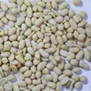 Blanched Peanut Kernel