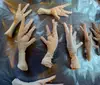 Frozen Chicken feet 20 KG Master Carton sale