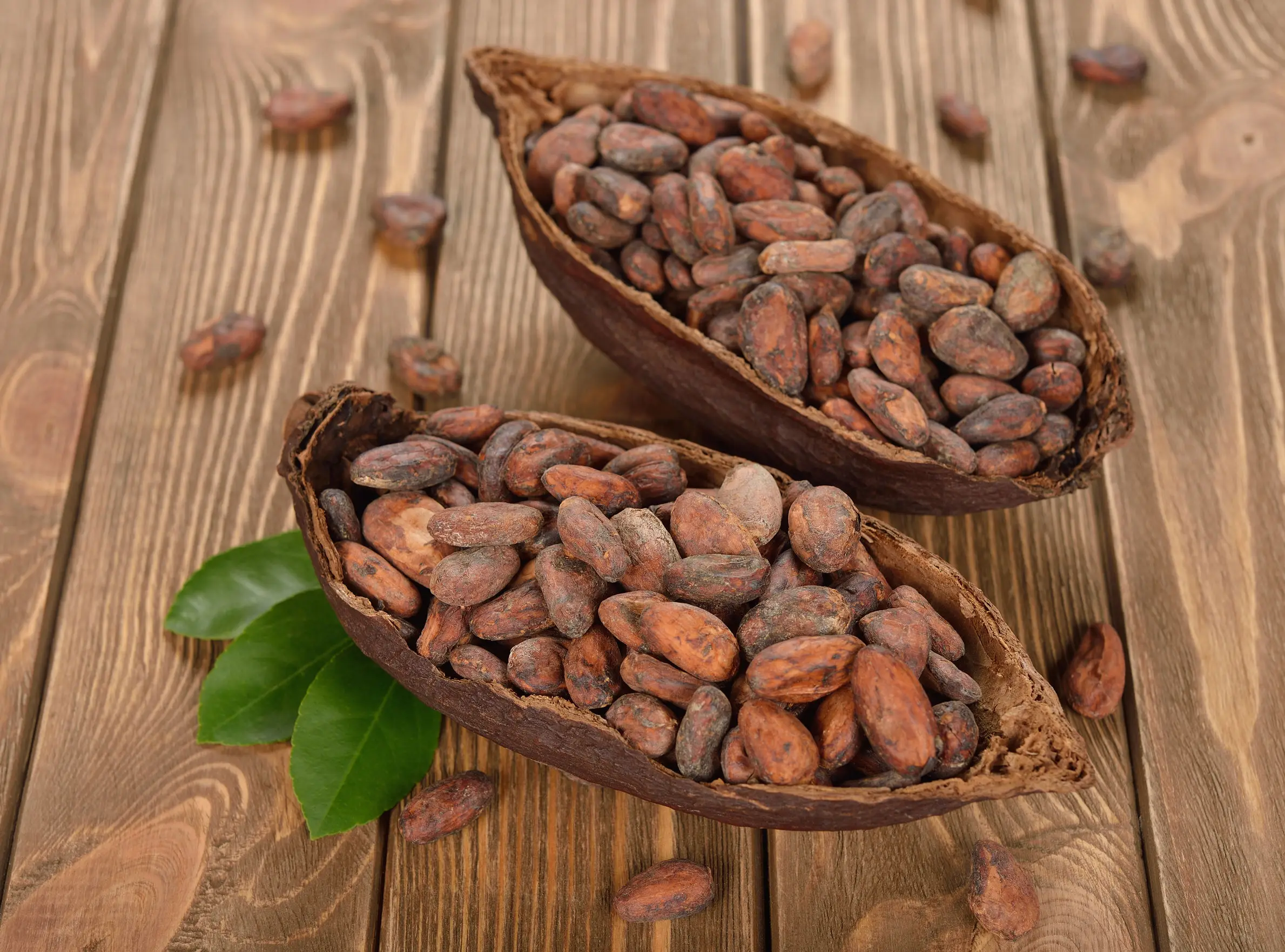 quality cocoa beans