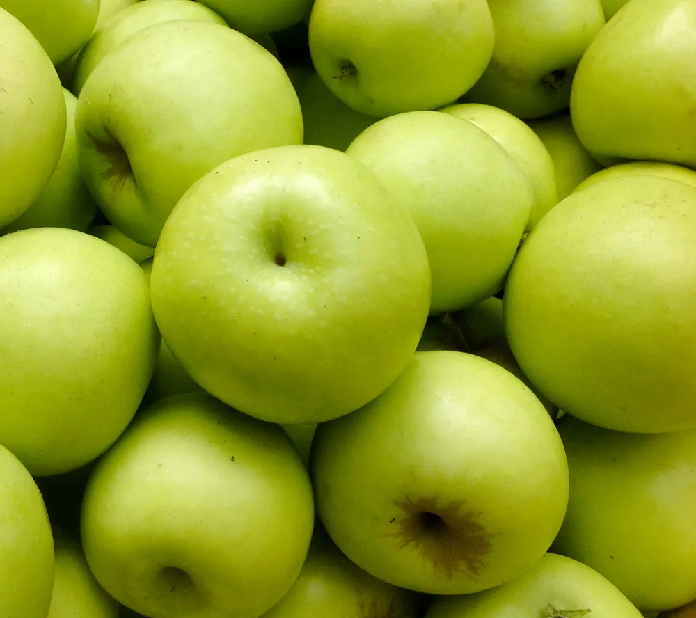 виды зеленых яблок