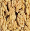Premium Selected Top Quality Walnuts and Kernels for Sale
