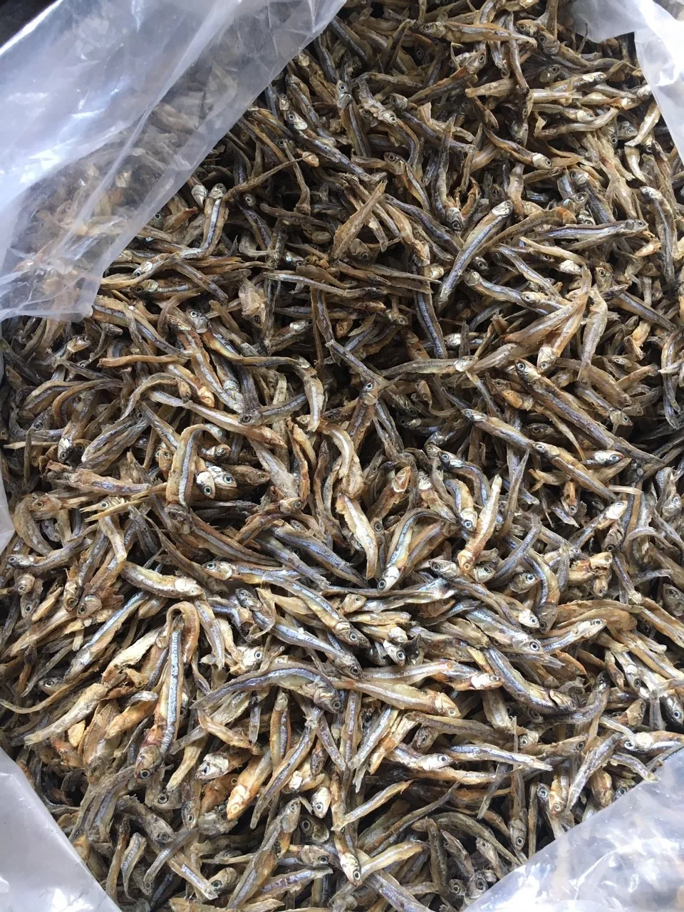 Low Moisture Dried Small Anchovy/ Sprat From Vietnam Cheap Price