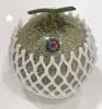 Thailand High Quality and High Quantity Premium Green Melon