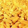Top quality Corn cob meal for mushroom animal feed bulk corn