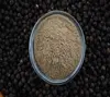 Piper Nigrum Black Pepper 2019