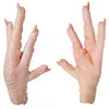Super quality AA grade Processed Chicken feet / Paws/ wings