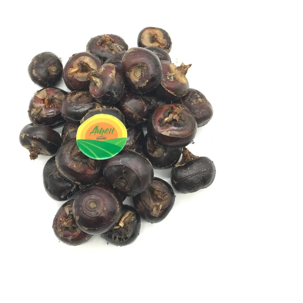 新鲜菱角的出口商 - buy 水栗子,新鲜的水栗子,销售的水栗子 product