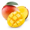 Fresh Kent Big Mango Dried from India