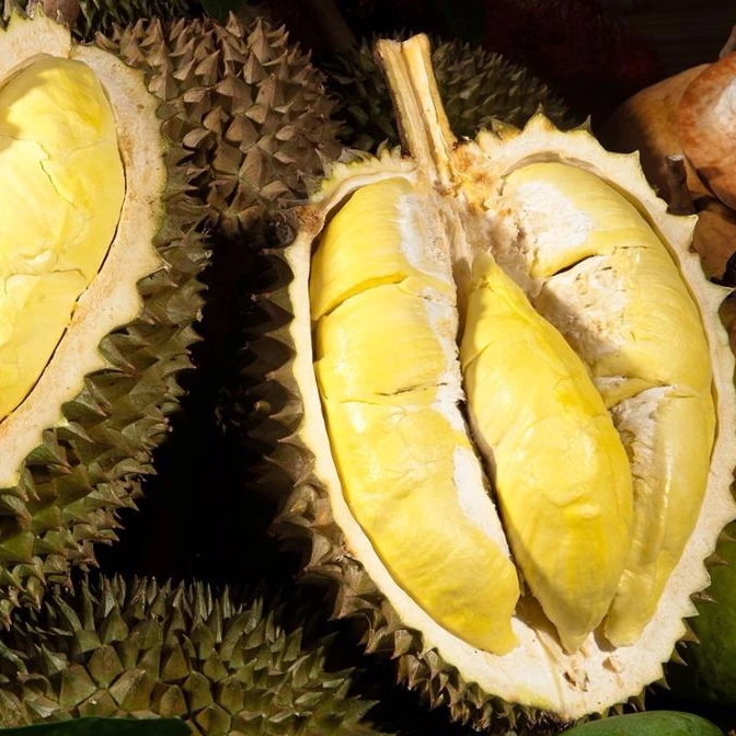 Viet Nam Premium Fresh Durian With Sweet Taste Buy D24 Durian