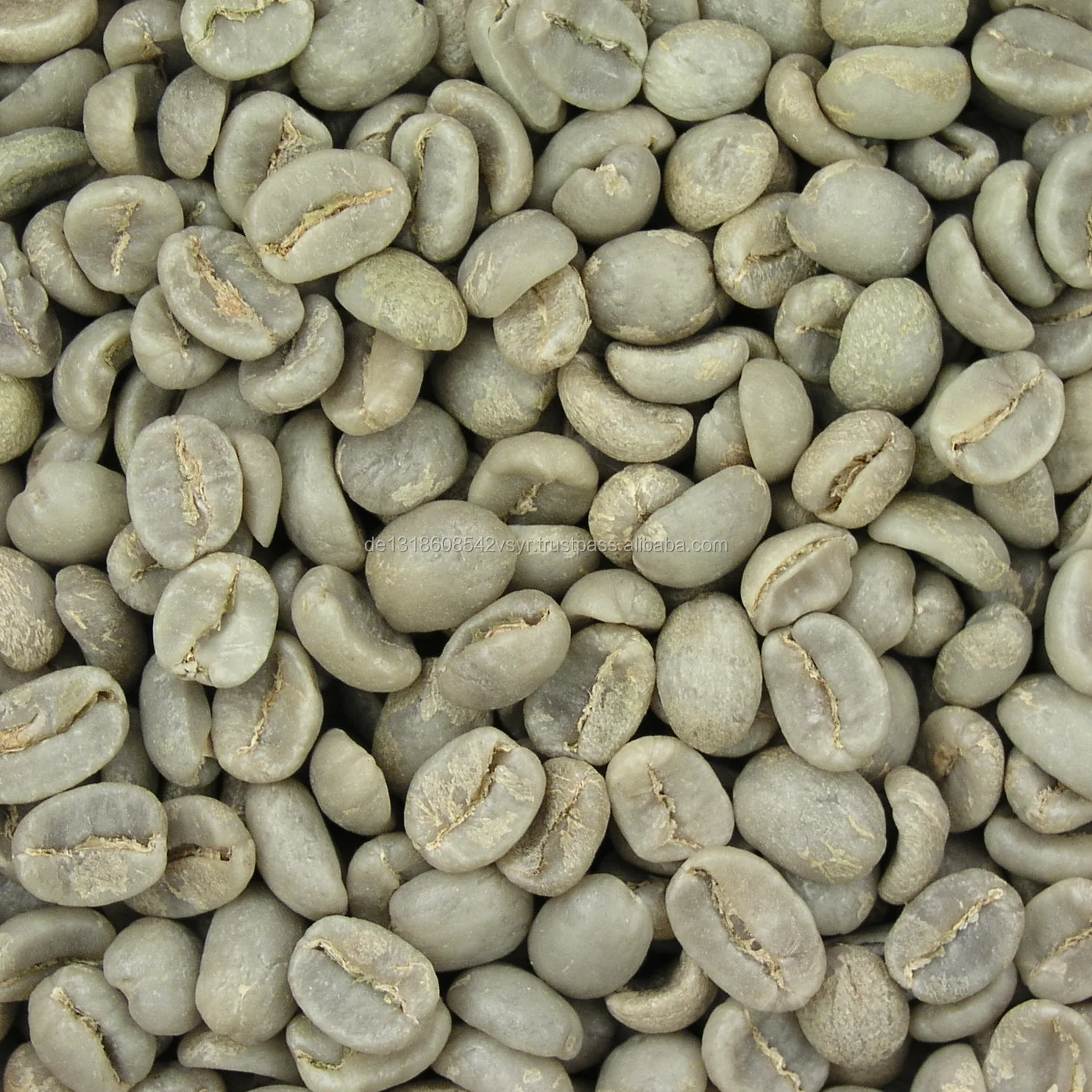 Screen Size 1718 Green Arabica Coffee Beans For Sale Buy Bulk Green