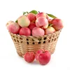 Fresh Apples/Royal Gala/Red Delicious/Granny smith apple!