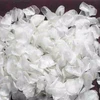 Dried Fish scales/ Oreochromis sp scales/ Tilapia scales For Sale (WhatsApp +84 3 76540581)