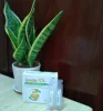 Human Liquid Probiotic with 2 billion spores of polyantibiotic-resistant - The Best Bacillus Clausii Supplier
