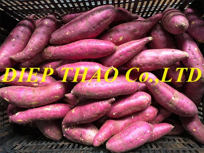 vn-packing sweet-potato.jpg