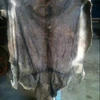 Raw Dry Cow Hides