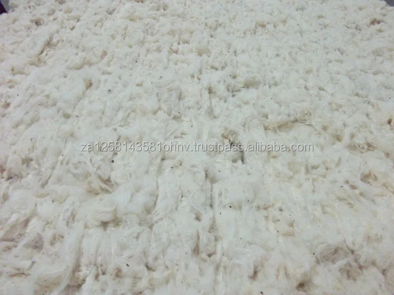cotton 9.jpg