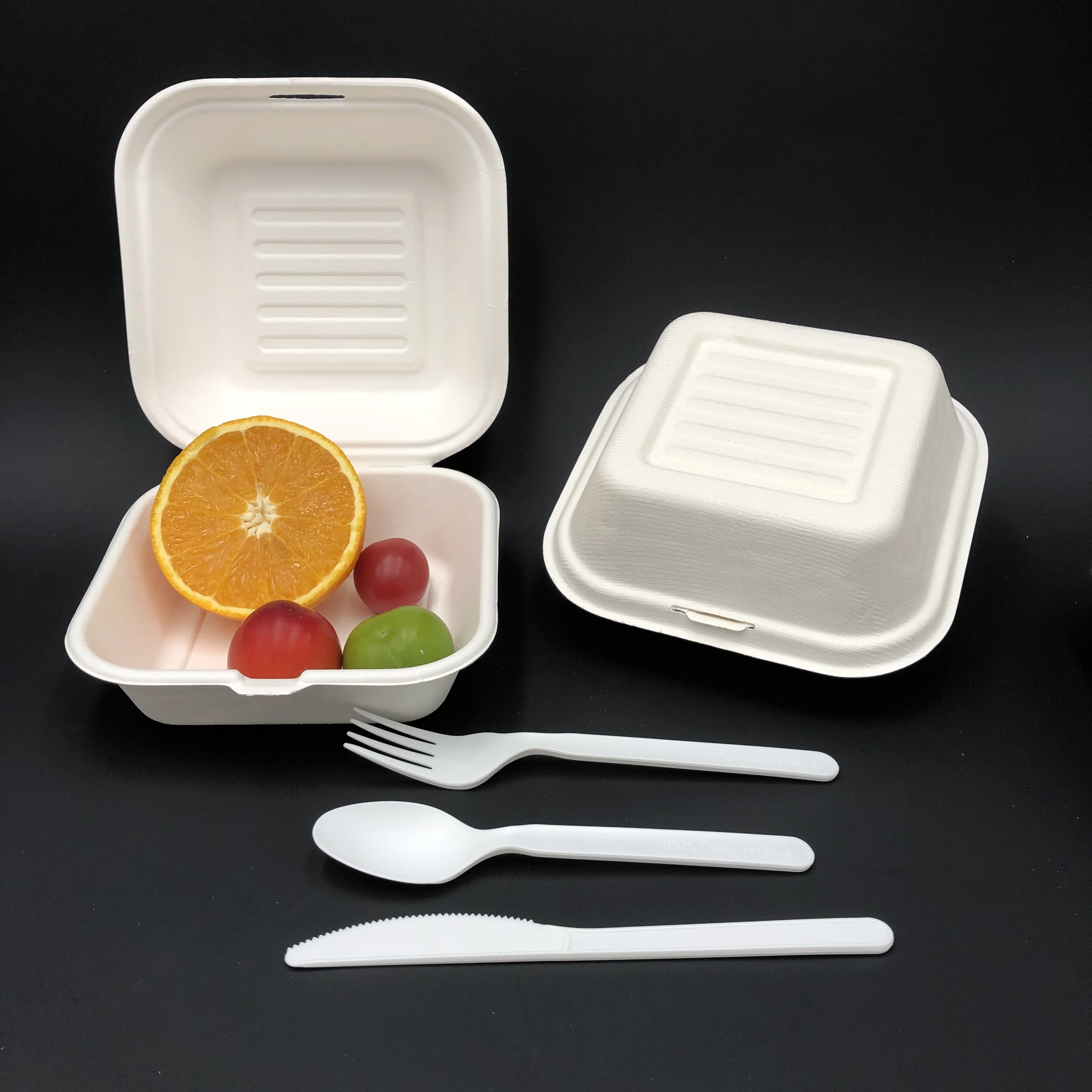 Eco Friendly Food Packaging Disposable Sugarcane Bagasse Food Container ...