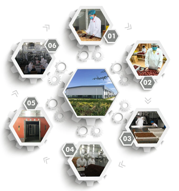 Top quality export to Taiwan jujube walnut/jujube sandwich/jujube with walnut