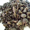 Palm kernel shell,good quality grade A,Palm kernel shell at affordable prices