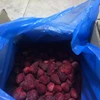 Frozen Strawberry IQF to export worldwide