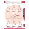 Extraction Forceps Pediatric English Pattern With Spring Standard Handle Premium Handle Extraction Products Dental Instruments