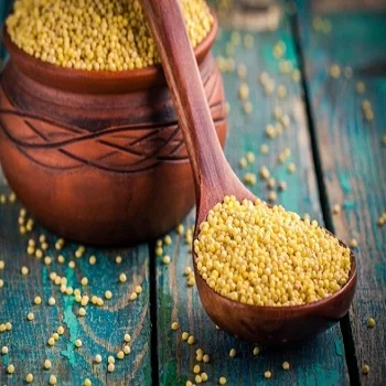 organic yellow hulled millet grain / seed