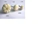 custom made door knobs suitable for home decor store available in a huge assortment of sizes
