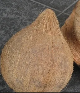 importers coconut husk