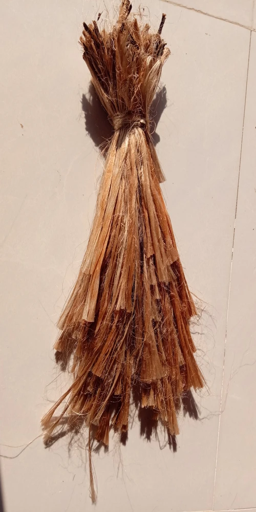 jw-0001.9.jpg