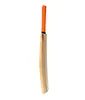 Cricket Bat in Kashmiri Willow