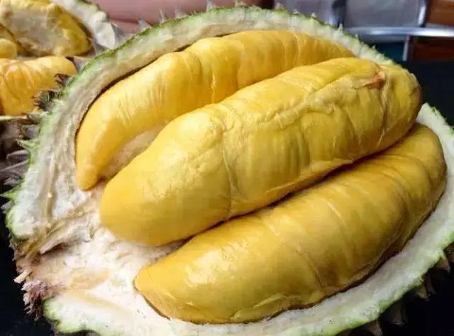 100% organic fresh durian fruits/ frozen durian /durian thailand