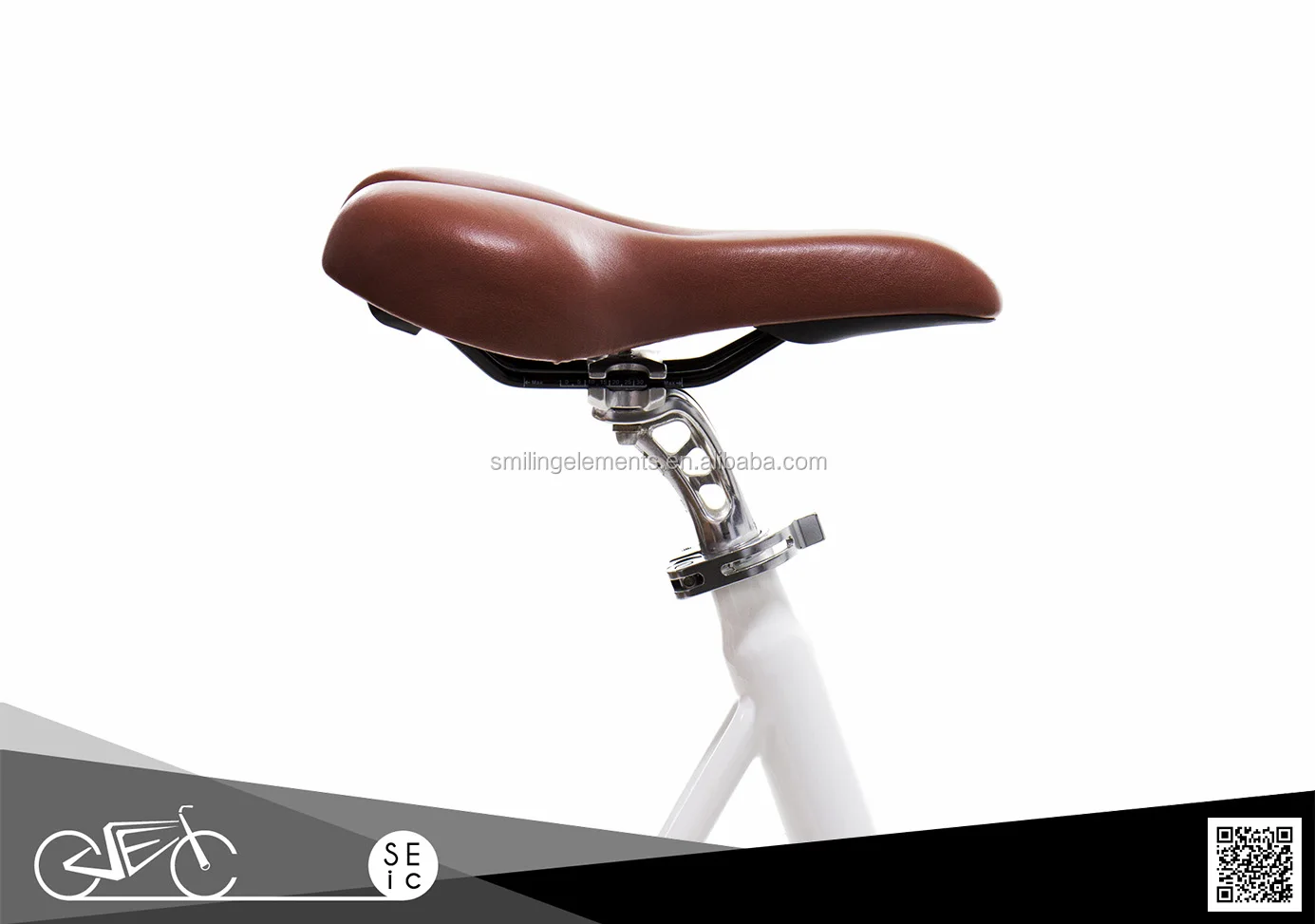 SEic tricycle ebike (6).jpg