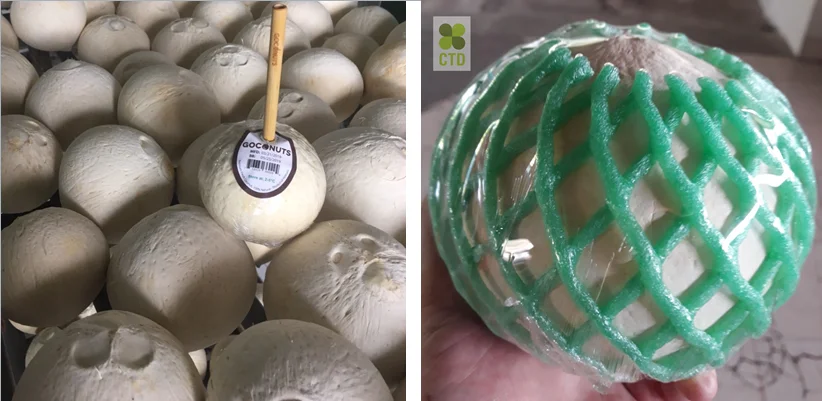 Polished young cc.png