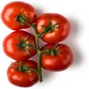 Fresh Tomatoes
