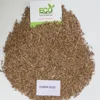Cumin Seed using chicken biriyani