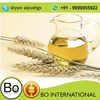 Cold Processed Factory Price Wheat Germ Essential Oil Liquid