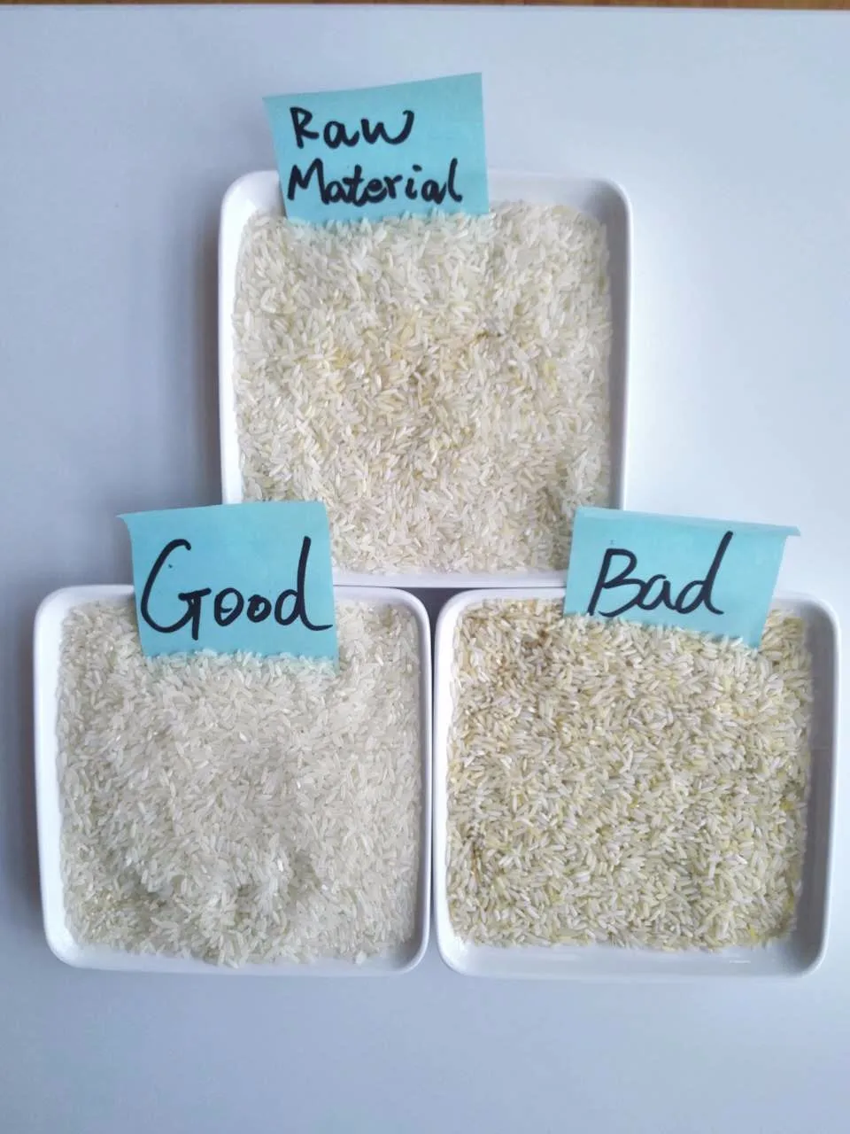 vsee new food grade walnut and grain color sorter manufacturer