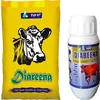 DIAREENA -Cattle (Herbal formulation effective against diarrhoea and various gut related problems)