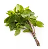 Sweet basil Leaf From Thailand