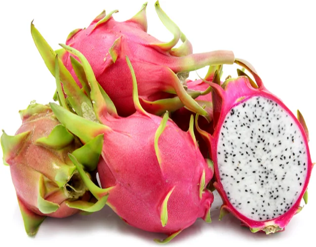 fresh dragon fruit,fresh fruit - buy dragon fruit,red dragon