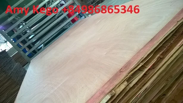 Plywood for Furniture with 100% Hardwood core veneer from Vietnam