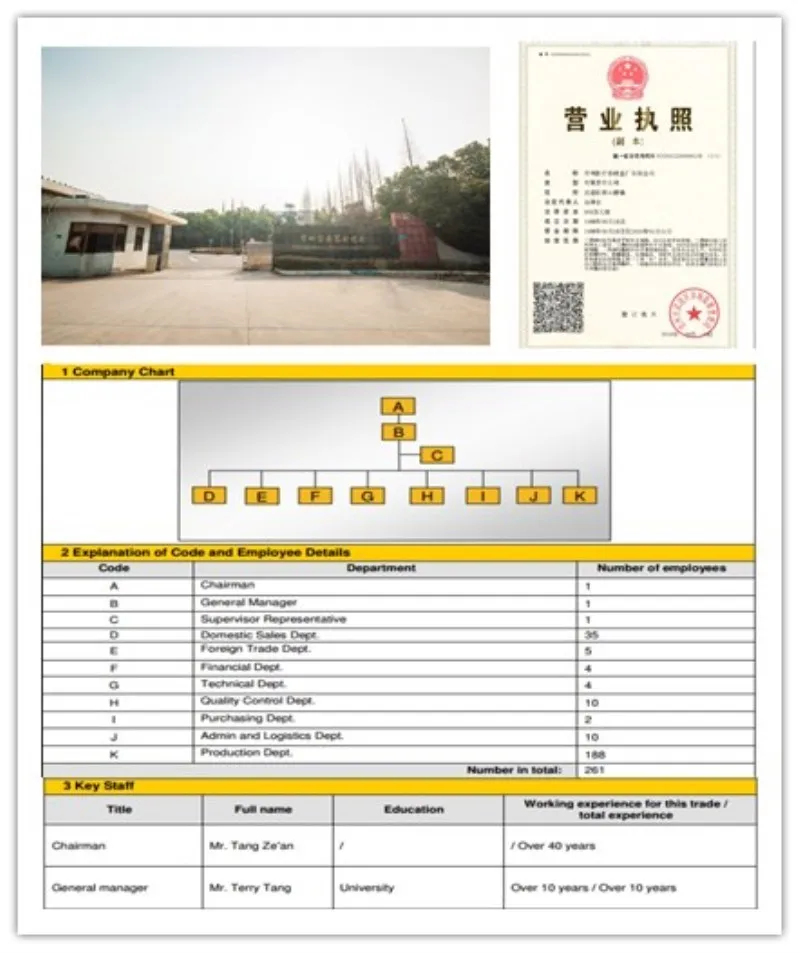 organization structure_