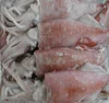 Frozen Seafood Loligo Chinensis Squid