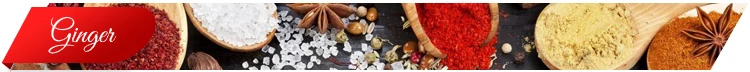 Spices-Title.jpg
