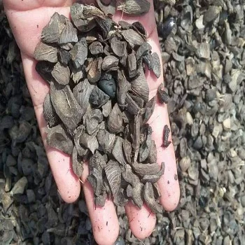 Palm Kernel Shell (6).jpg