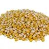 Certified Top Quality Dry Maize/Dry Yellow and white Corn For Human Consumption And for Oil making
