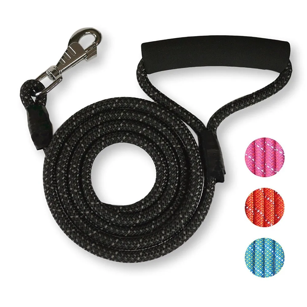 Comfortable Padded Handle Dog Leash With Waste Bag Dispenser Buy