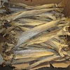 Buy Stockfish Online | Stockfish From Norway at Fantastic Price Full Bale/Bag of Stockfish (Dried Cod)