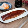 Anguilla Rostrata Unagi Kabayaki Sauce Frozen American Roasted Eel (China)